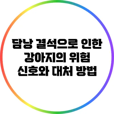 담낭 결석으로 인한 강아지의 위험 신호와 대처 방법