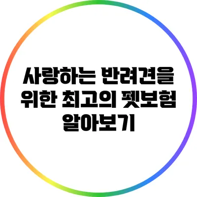 사랑하는 반려견을 위한 최고의 펫보험 알아보기