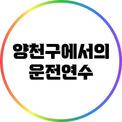 양천구에서의 운전연수