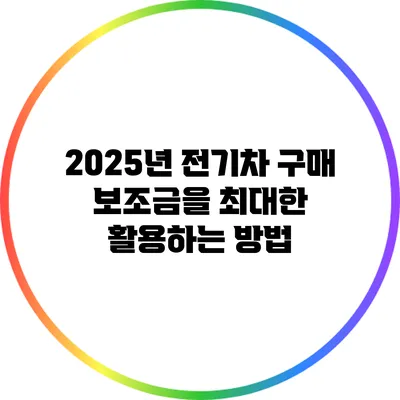 2025년 전기차 구매 보조금을 최대한 활용하는 방법