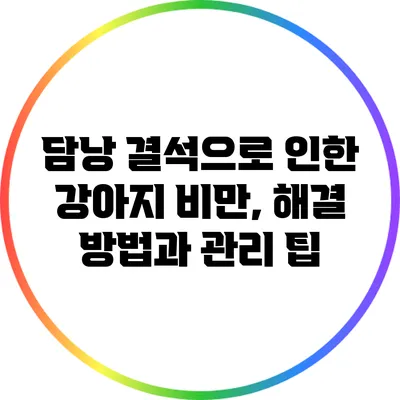 담낭 결석으로 인한 강아지 비만, 해결 방법과 관리 팁