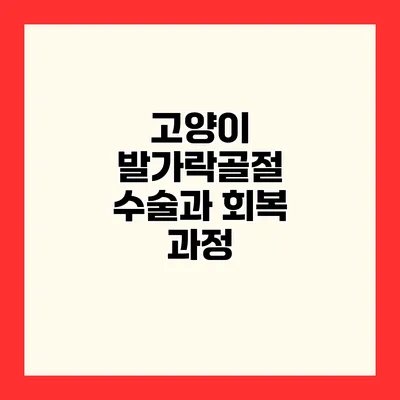 고양이 발가락골절 수술과 회복 과정
