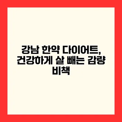 강남 한약 다이어트, 건강하게 살 빼는 감량 비책