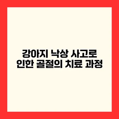 강아지 낙상 사고로 인한 골절의 치료 과정