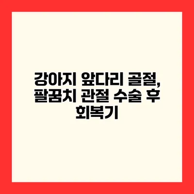 강아지 앞다리 골절, 팔꿈치 관절 수술 후 회복기