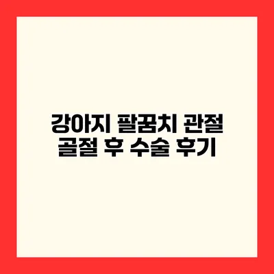 강아지 팔꿈치 관절 골절 후 수술 후기