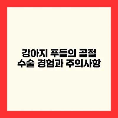 강아지 푸들의 골절 수술 경험과 주의사항