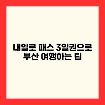 내일로 패스 3일권으로 부산 여행하는 팁