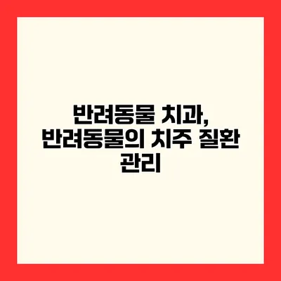 반려동물 치과, 반려동물의 치주 질환 관리