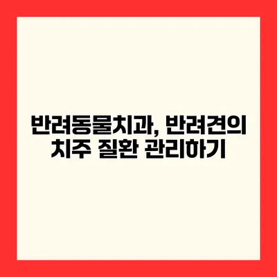 반려동물치과, 반려견의 치주 질환 관리하기