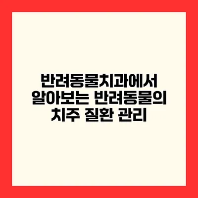 반려동물치과에서 알아보는 반려동물의 치주 질환 관리