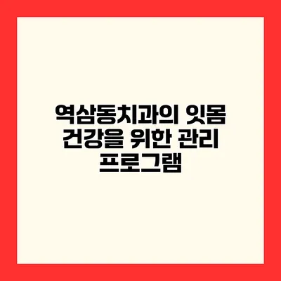 역삼동치과의 잇몸 건강을 위한 관리 프로그램