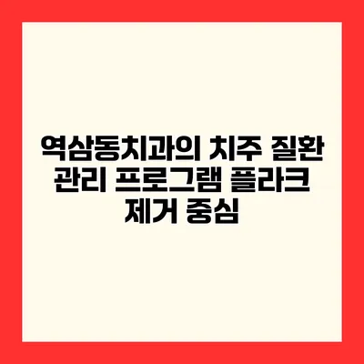 역삼동치과의 치주 질환 관리 프로그램 플라크 제거 중심