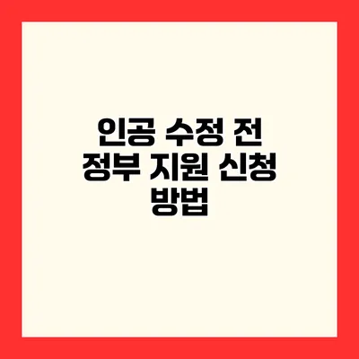 인공 수정 전 정부 지원 신청 방법
