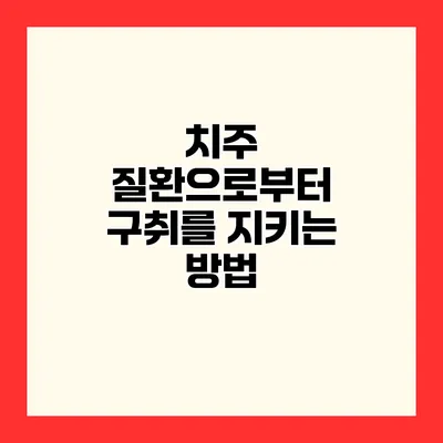 치주 질환으로부터 구취를 지키는 방법