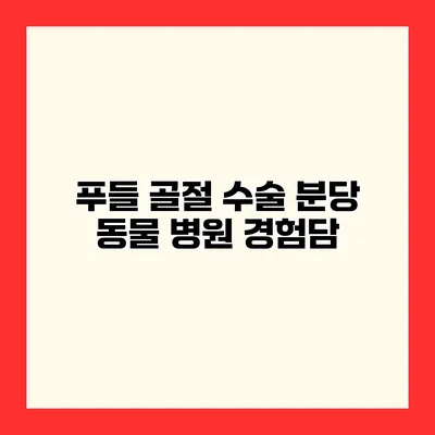 푸들 골절 수술 분당 동물 병원 경험담