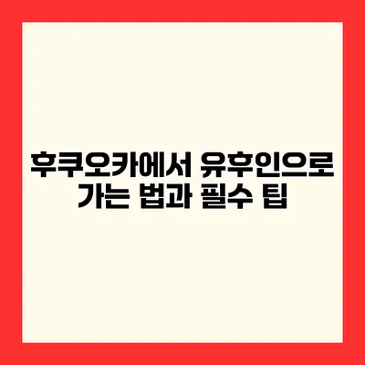 후쿠오카에서 유후인으로 가는 법과 필수 팁