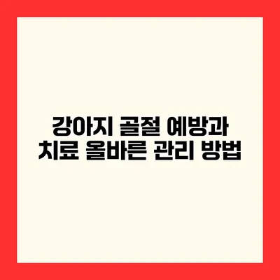 강아지 골절 예방과 치료 올바른 관리 방법