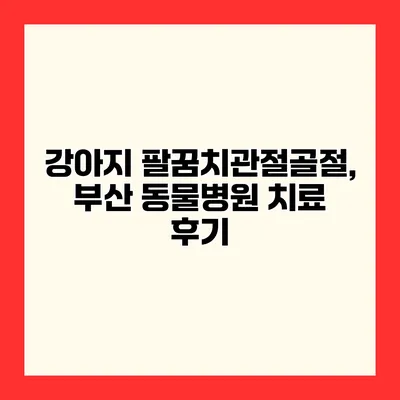 강아지 팔꿈치관절골절, 부산 동물병원 치료 후기