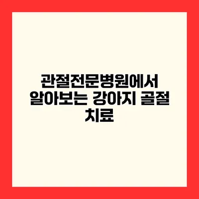 관절전문병원에서 알아보는 강아지 골절 치료