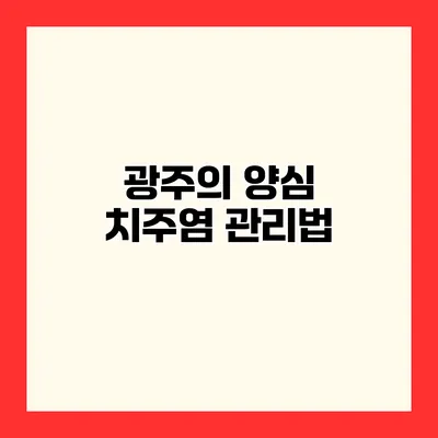 광주의 양심 치주염 관리법
