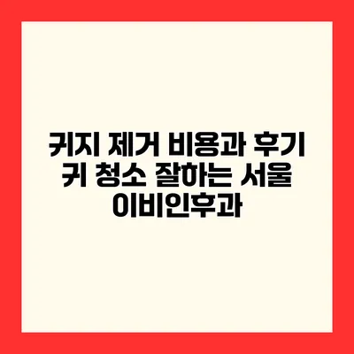 귀지 제거 비용과 후기 귀 청소 잘하는 서울 이비인후과