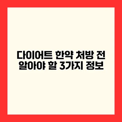다이어트 한약 처방 전 알아야 할 3가지 정보