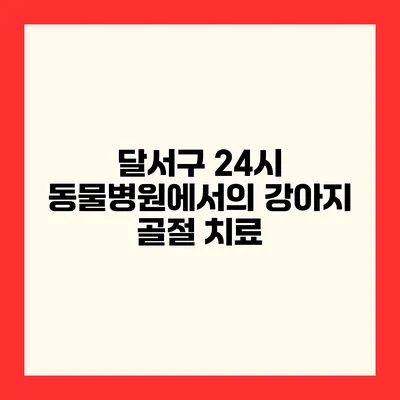 달서구 24시 동물병원에서의 강아지 골절 치료