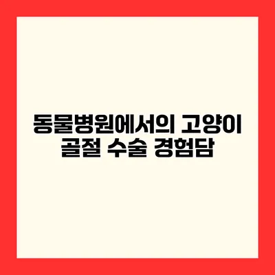 동물병원에서의 고양이 골절 수술 경험담