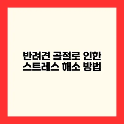 반려견 골절로 인한 스트레스 해소 방법
