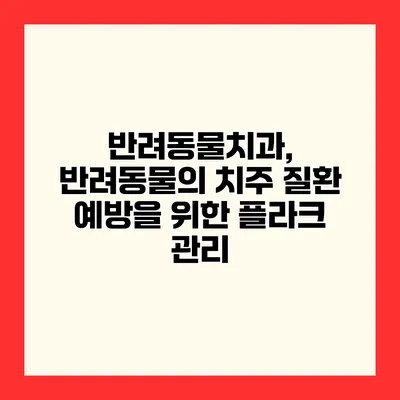 반려동물치과, 반려동물의 치주 질환 예방을 위한 플라크 관리