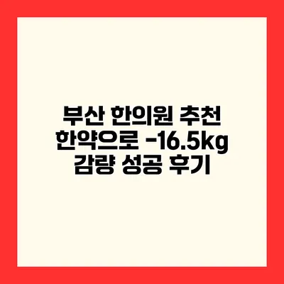 부산 한의원 추천 한약으로 -16.5kg 감량 성공 후기