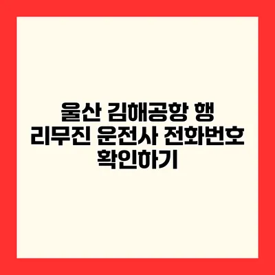 울산 김해공항 행 리무진 운전사 전화번호 확인하기