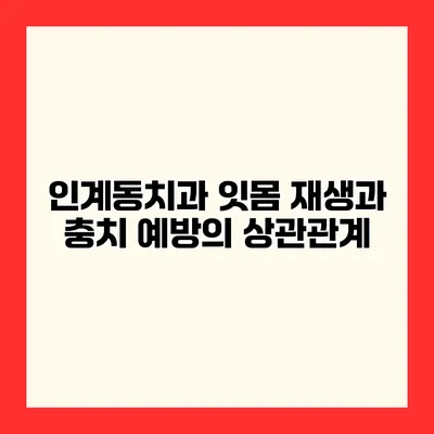 인계동치과 잇몸 재생과 충치 예방의 상관관계