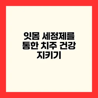 잇몸 세정제를 통한 치주 건강 지키기
