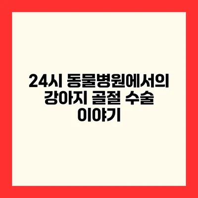 24시 동물병원에서의 강아지 골절 수술 이야기
