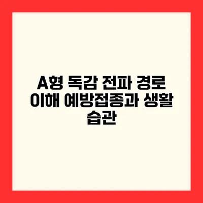 A형 독감 전파 경로 이해 예방접종과 생활 습관
