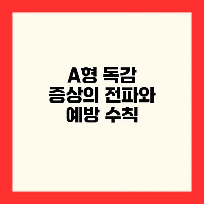 A형 독감 증상의 전파와 예방 수칙