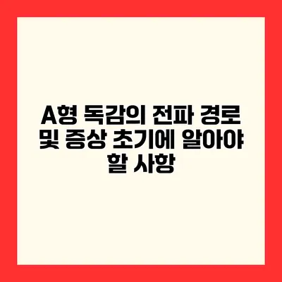 A형 독감의 전파 경로 및 증상 초기에 알아야 할 사항