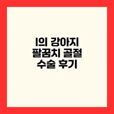 I의 강아지 팔꿈치 골절 수술 후기