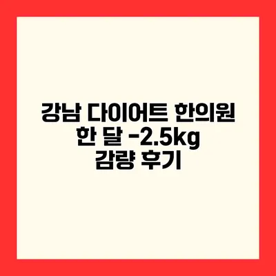 강남 다이어트 한의원 한 달 -2.5kg 감량 후기