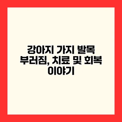 강아지 가지 발목 부러짐, 치료 및 회복 이야기
