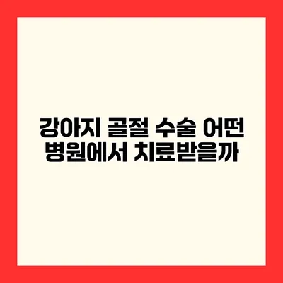 강아지 골절 수술 어떤 병원에서 치료받을까?