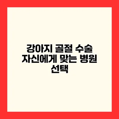 강아지 골절 수술 자신에게 맞는 병원 선택