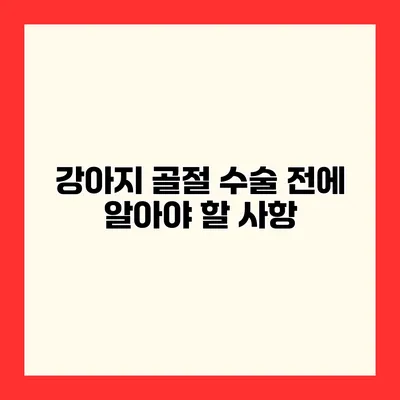 강아지 골절 수술 전에 알아야 할 사항