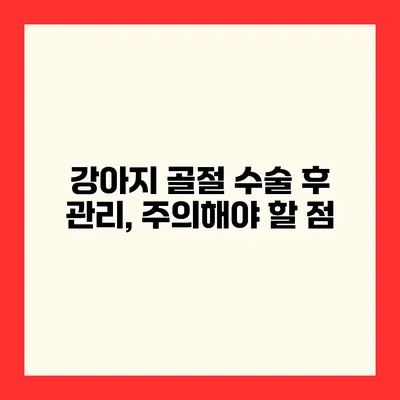 강아지 골절 수술 후 관리, 주의해야 할 점