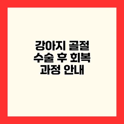 강아지 골절 수술 후 회복 과정 안내
