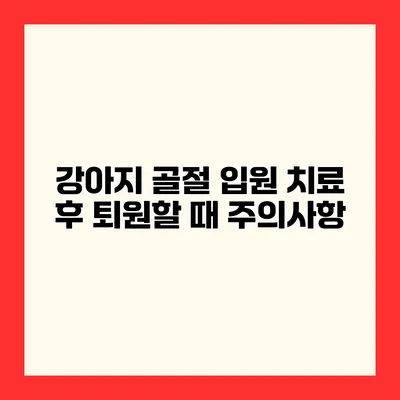 강아지 골절 입원 치료 후 퇴원할 때 주의사항