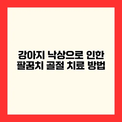 강아지 낙상으로 인한 팔꿈치 골절 치료 방법