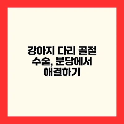 강아지 다리 골절 수술, 분당에서 해결하기